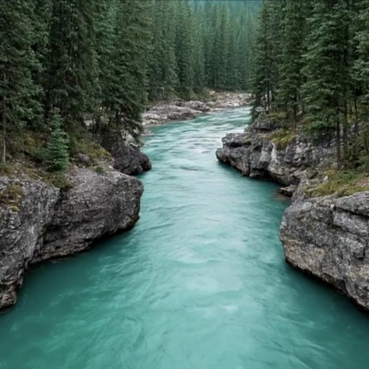 This month, we began our live group meditation with a simple truth: I am worthy of good things. 🌿⁠
⁠
The Worthy of Good Things Meditation invites you to soften, release doubt, and imagine life’s blessings flowing to you like a gentle river carrying treasures downstream. You don’t have to chase or prove yourself. Good things are meant for you, just as you are.⁠
⁠
Whenever you need a reset, come back to this meditation and remind yourself: I am worthy of good things. 💫⁠
⁠
This meditation is just one of the many inside the membership that will help you let go of doubts, grow your self-confidence, and feel better. If you're not a member yet, join now and start reaping the benefits today.⁠
⁠